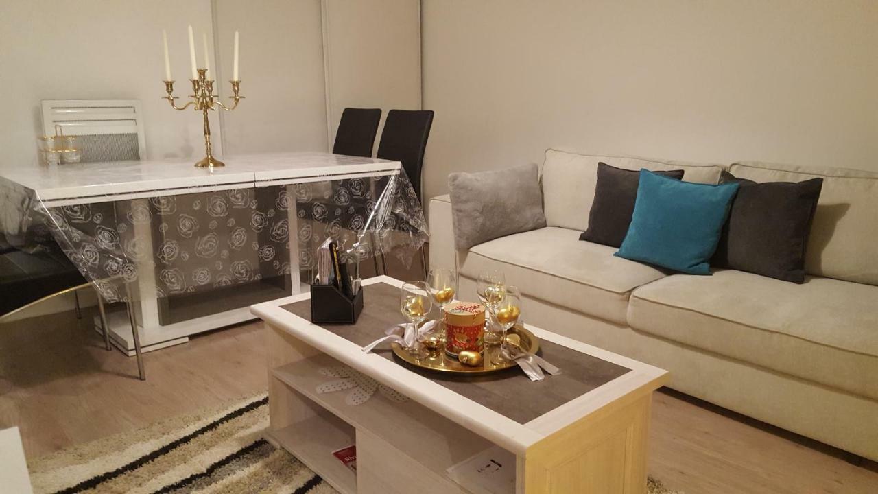 Appartement Spacieux Avec Terrasse Pres De Paris Et Du Stade De France サン＝ドニ エクステリア 写真